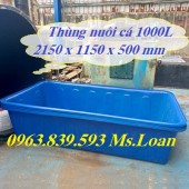 Mua thùng nhựa đặc chữ nhật ở đâu giá rẻ? - LH ngay: 0963 839 593 Thanh Loan